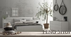 Beginner’s Guide to Feng Shui in Your Home