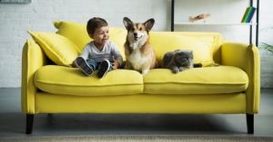 How To Choose Upholstery Fabric for Your Sofa